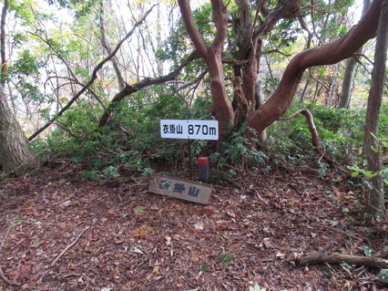 衣掛山